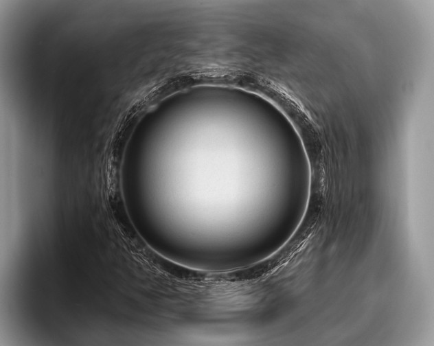 X0000096991350200802081419