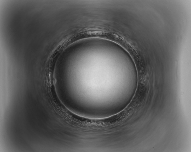 X0000096991351200802081419