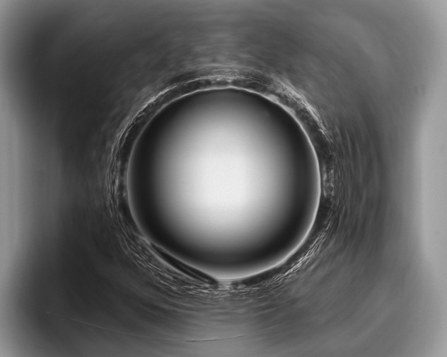 X0000096991352200802081419