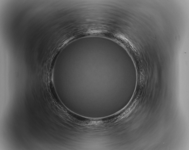 X0000096991353200802081419