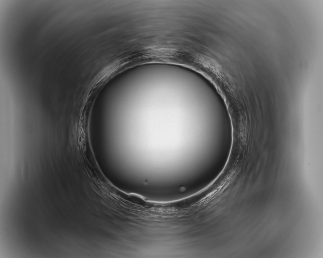 X0000096991354200802081419