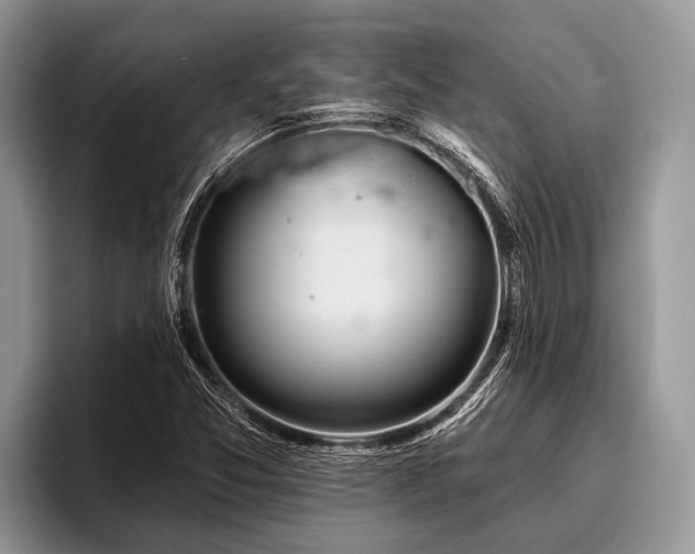 X0000096991357200802081419