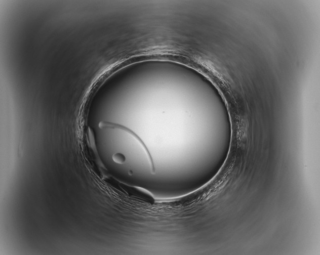 X0000096991358200802081419
