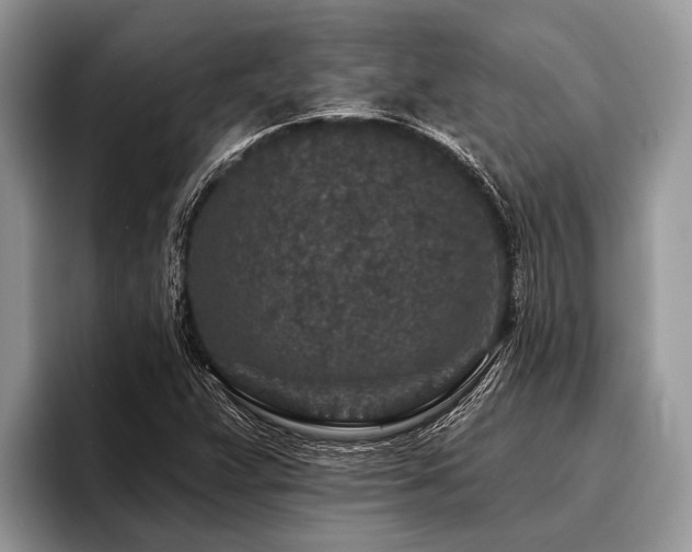 X0000096991359200802081419
