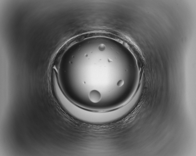 X0000096991360200802081419