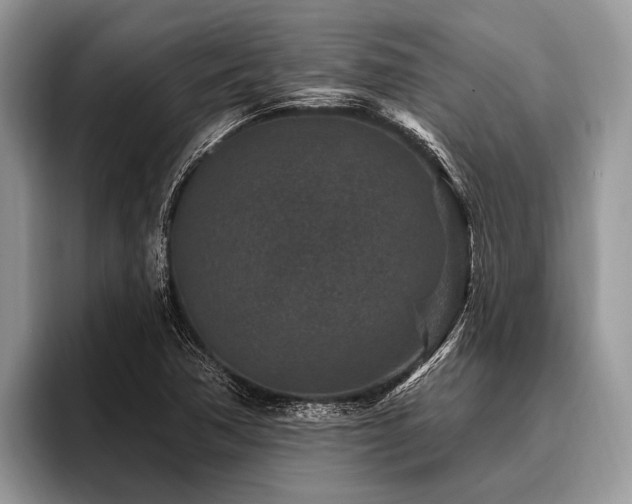 X0000096991362200802081419