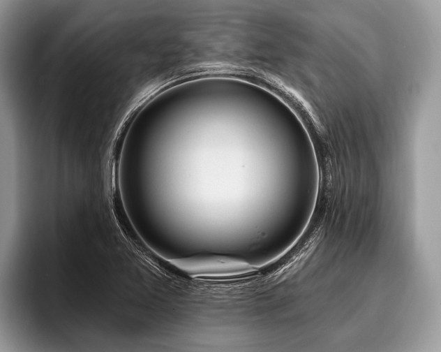 X0000096991365200802081419