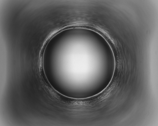 X0000096991366200802081419