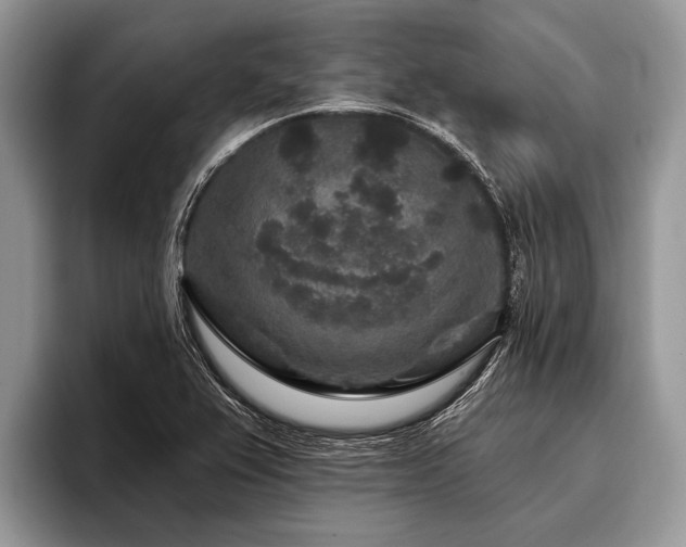 X0000096991367200802081419