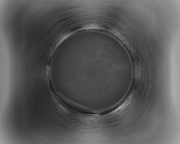 X0000096991369200802081419