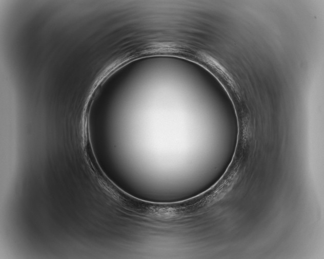 X0000096991370200802081419