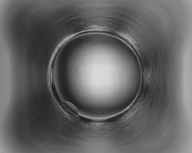 X0000096991371200802081419