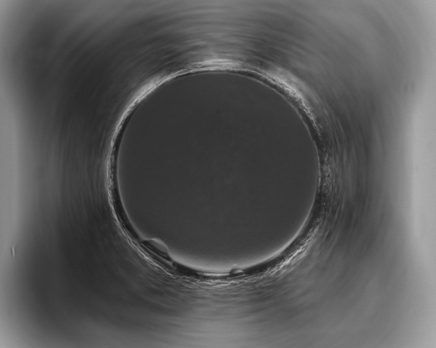 X0000096991373200802081419