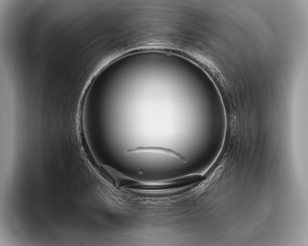 X0000096991374200802081419