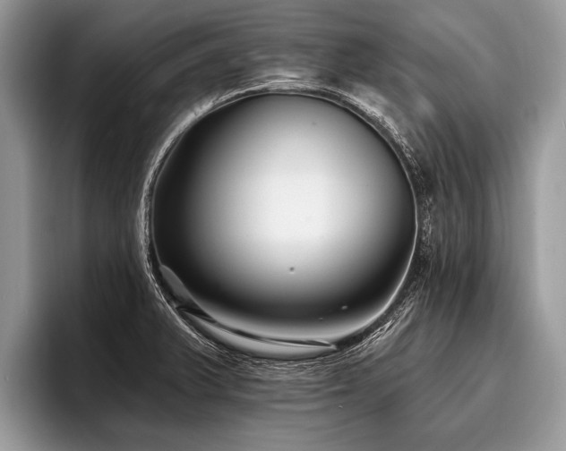 X0000096991375200802081419