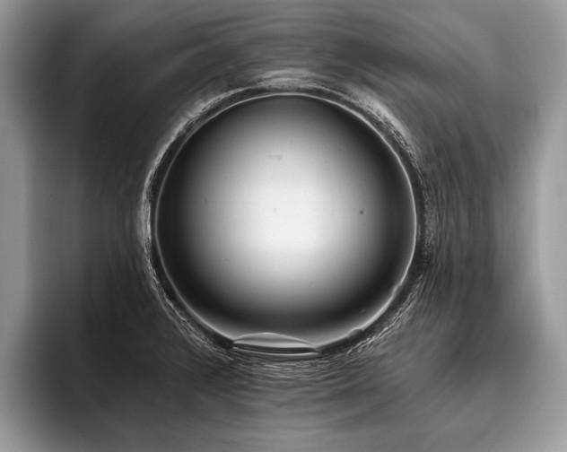 X0000096991376200802081419