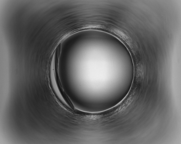 X0000096991377200802081419