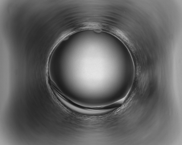 X0000096991378200802081419