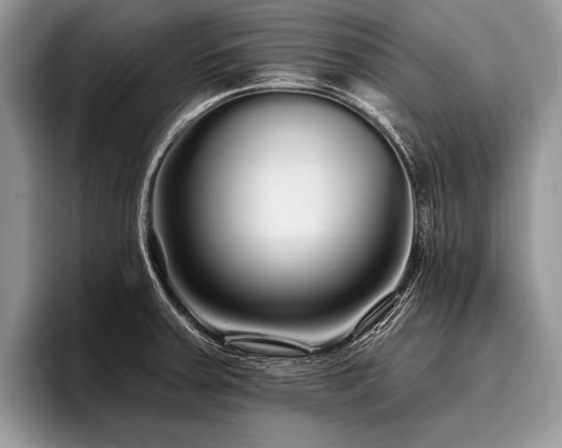 X0000096991379200802081419