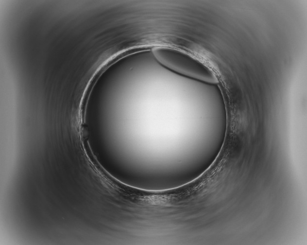 X0000096991380200802081419