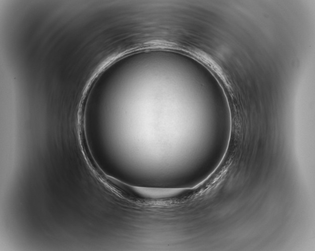 X0000096991381200802081419