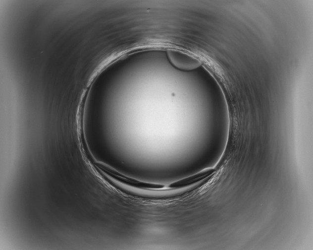 X0000096991382200802081419