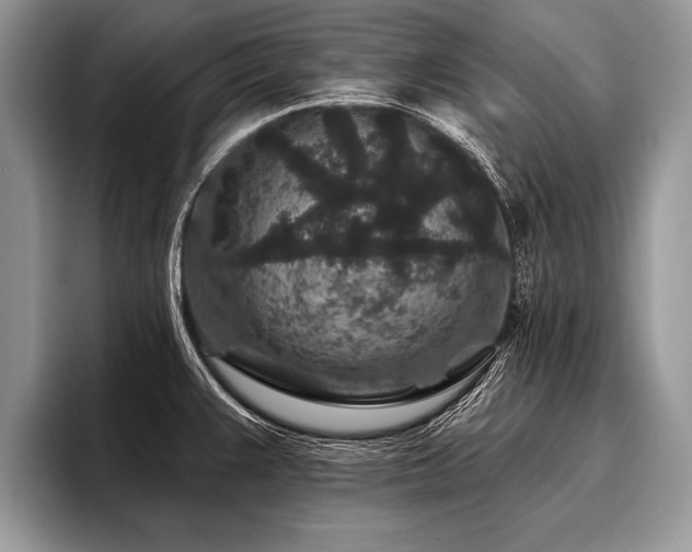 X0000096991383200802081419