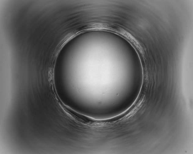 X0000096991385200802081419