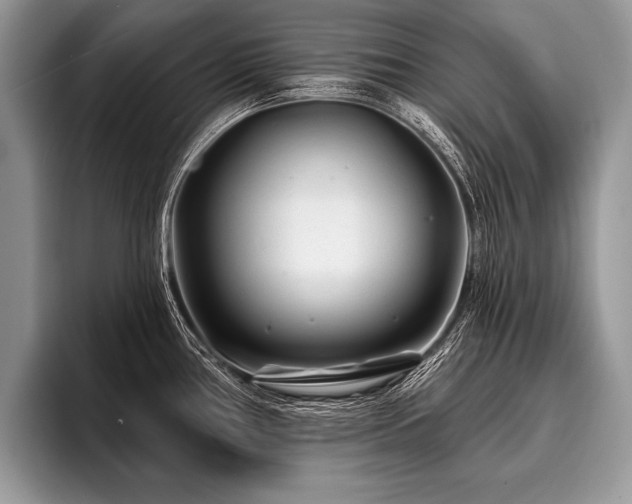 X0000096991386200802081419