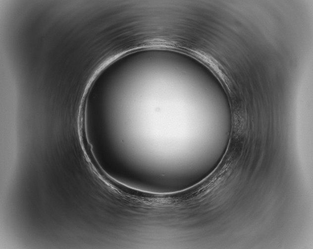 X0000096991387200802081419