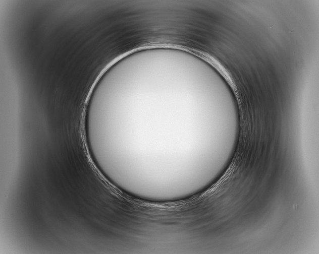 X0000096991388200802081419