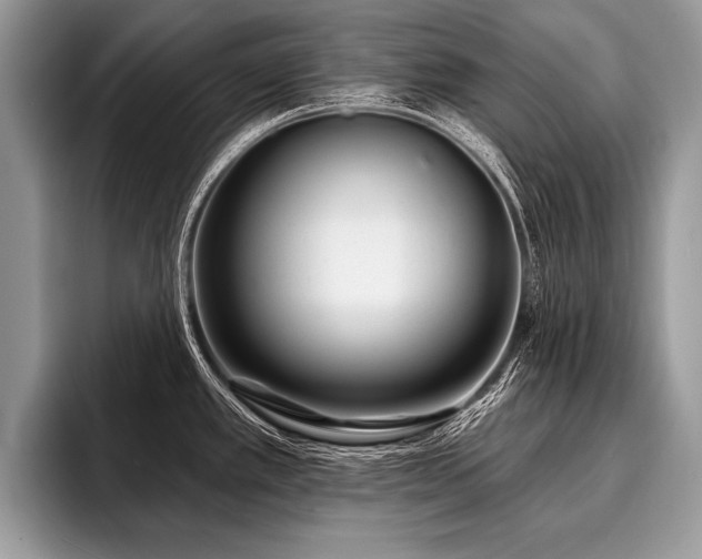 X0000096991389200802081419