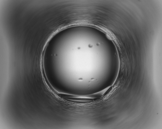 X0000096991390200802081419