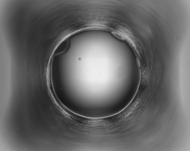 X0000096991391200802081419
