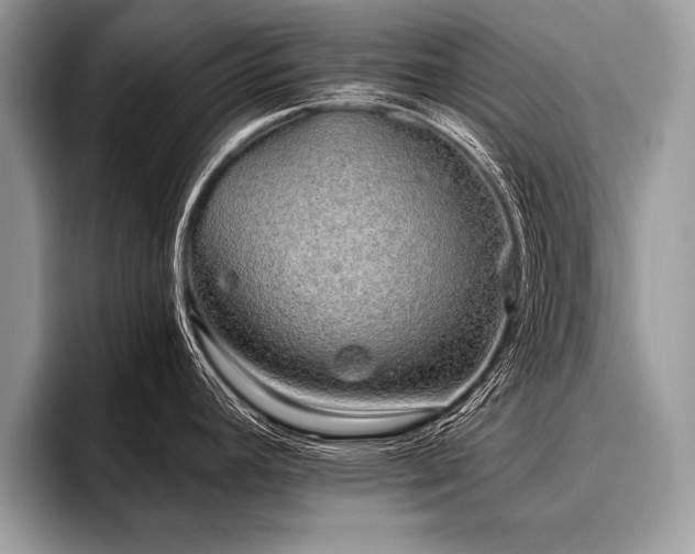 X0000096991392200802081419