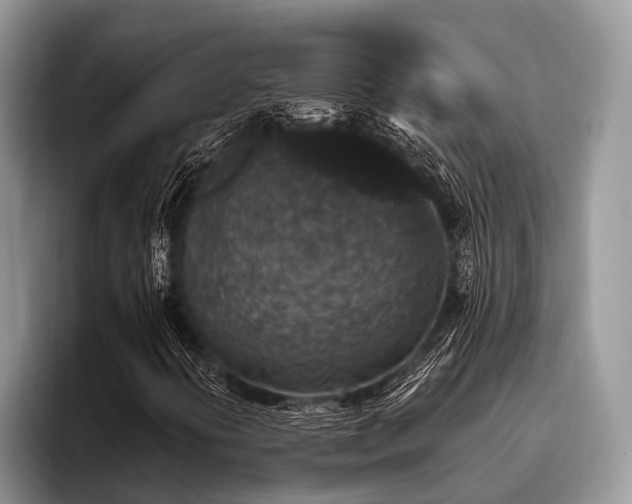 X0000096991394200802081418