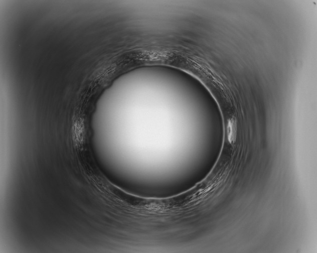 X0000096991395200802081418