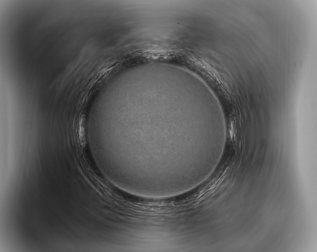 X0000096991396200802081418