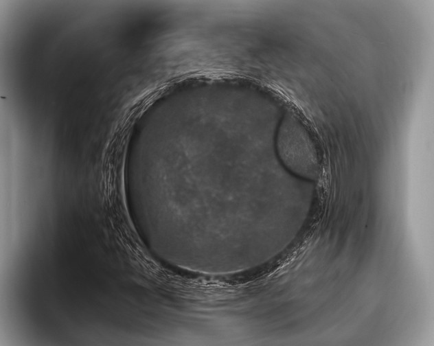 X0000096991398200802081418