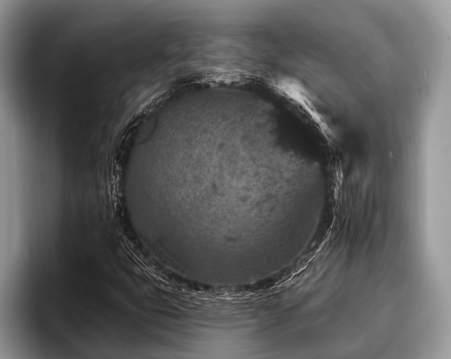 X0000096991399200802081418