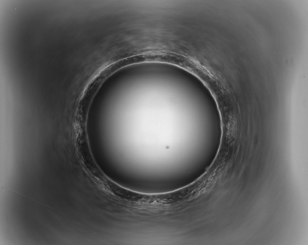 X0000096991400200802081418