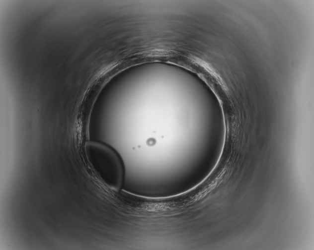 X0000096991402200802081418
