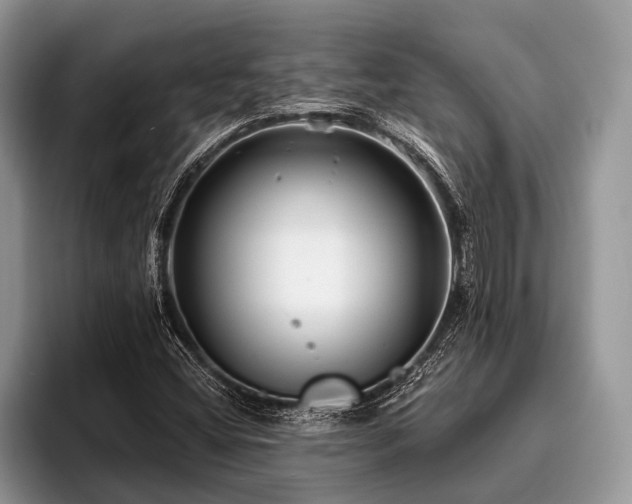 X0000096991404200802081418
