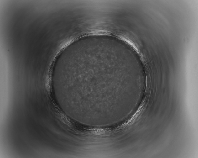 X0000096991405200802081418