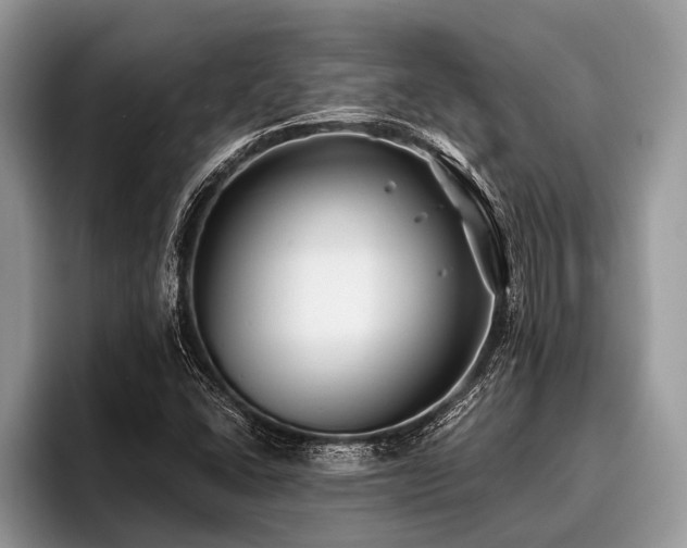 X0000096991406200802081418