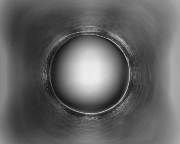X0000096991407200802081418