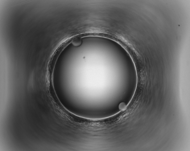 X0000096991408200802081418