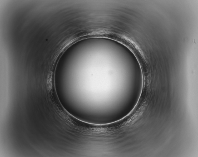 X0000096991409200802081418