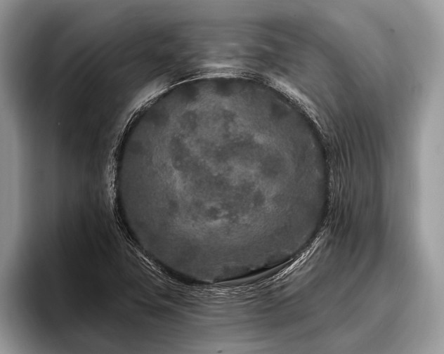 X0000096991411200802081418