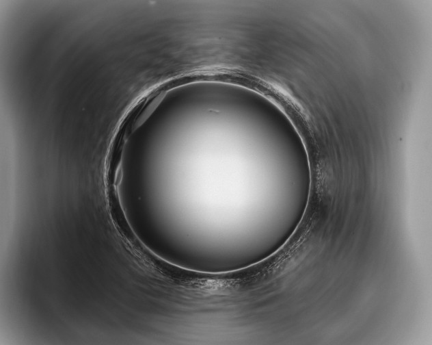 X0000096991412200802081418